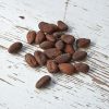 cocoa-bean-1282889_640