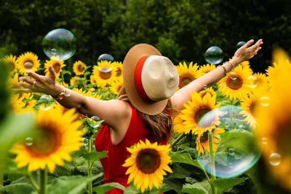woman-wearing-straw-hat-standing-in-bed-of-sunflowers-1263985
